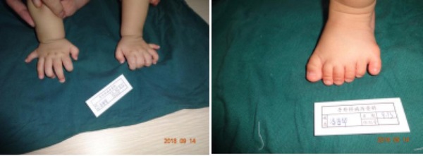 WechatIMG13661542967057_.pic.jpg